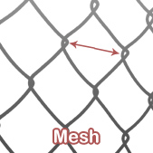 Mesh